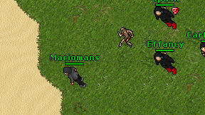 Maciomans on screen