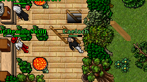 Caelach on screen
