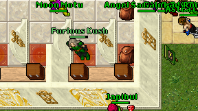 Furious Kush on screen