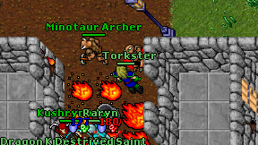 Torkster on screen