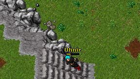 Ohnir on screen