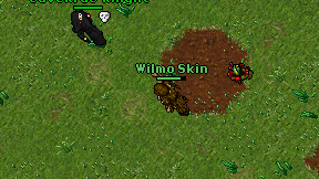 Wilmo Skin on screen