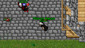 Minon Aman on screen