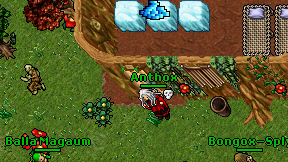 Anthox on screen