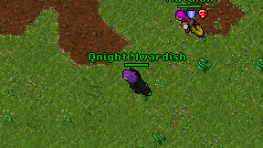Qnight Mwardish on screen