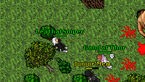 Leathal Sniper on screen