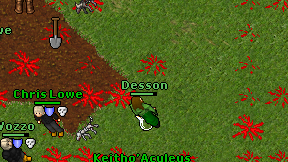 Desson on screen