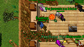 Dawog on screen