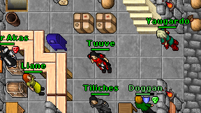 Tuuve on screen
