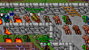 Fezzunia on screen