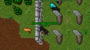 Jacek grycha on screen