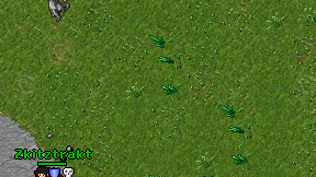Molneiz on screen