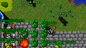 Plexusa on screen