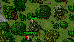 Vados on screen