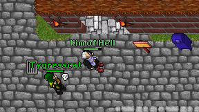 Kim of Hell on screen