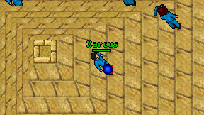 Xarcus on screen