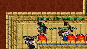 Ridon on screen