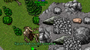 Amnen on screen