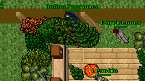 Bulion Pogromca on screen