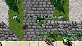 Czubek'Pantera on screen
