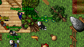 Jace Parvo on screen