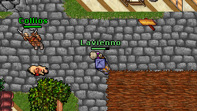 Lavienno on screen