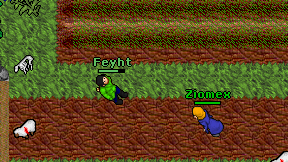 Feyht on screen