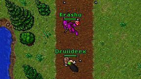 Druiideex on screen