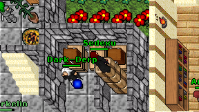 Sedexu on screen