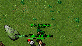Dard Shrek on screen