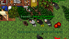 Squall-warrior on screen