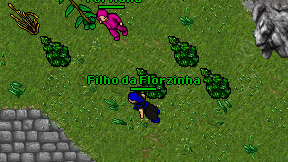 Filho da Florzinha on screen