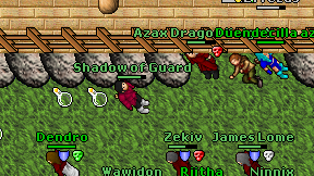 Shadow of Guard on screen