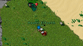 Haaler Elfaeth on screen