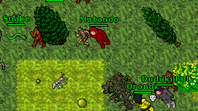 Matando on screen