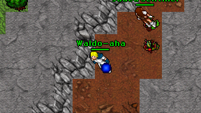 Waldo-aha on screen