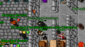 Sleeping Monkey on screen