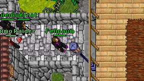 Felipaum on screen