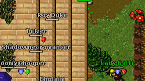 Telzer on screen