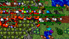 Brave Master on screen