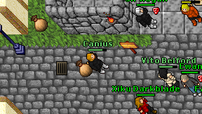 Canius on screen