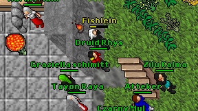 Druid Rhys on screen