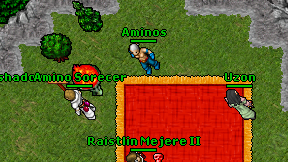 Aminos on screen
