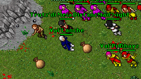 Val'Lanche on screen