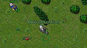 Amazon Sentinel on screen