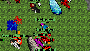 Nadus sod on screen