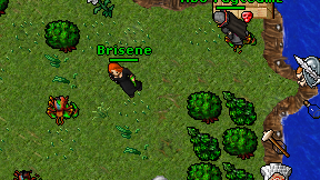 Brisene on screen
