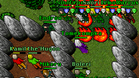 Tomekompka on screen