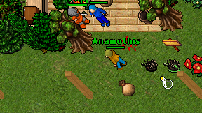Anamothis on screen