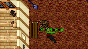Dran Sheoul on screen